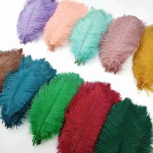 Excellent Quality Curly Group Decorative Fluffy Ostrich Feathers Big Red Feathers